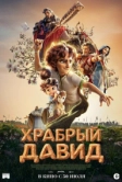 Храбрый Давид (2025)